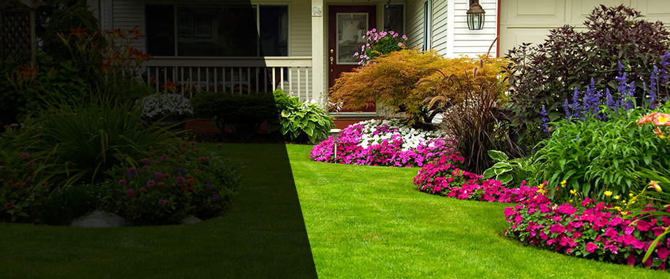 Jarrell Landscapers