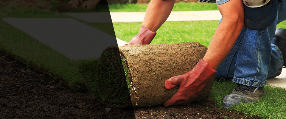 Jarrell Landscapers
